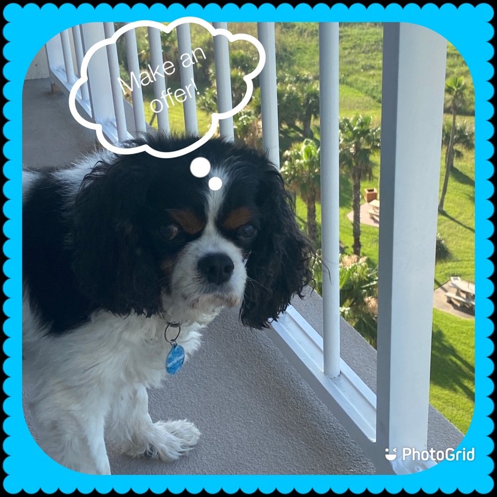 Unique Silver/Turquoise Ring - image 4